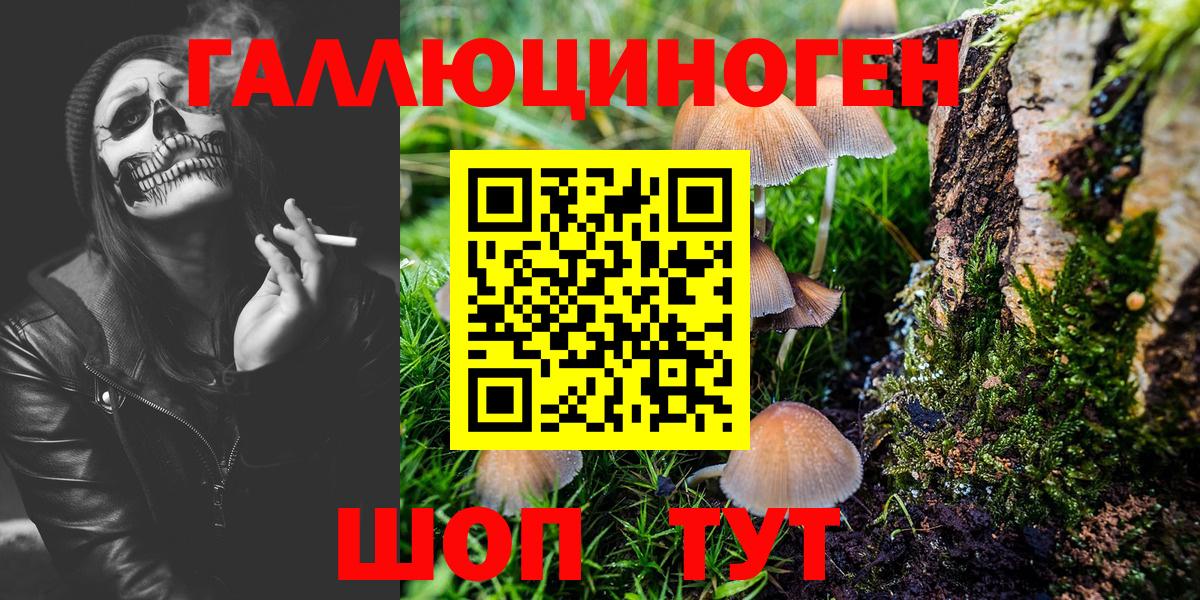 Псилоцибиновые грибы Psilocybine cubensis  Вход с VPN  Норильск  Галлюциногенные грибы GOLDEN TEACHER 